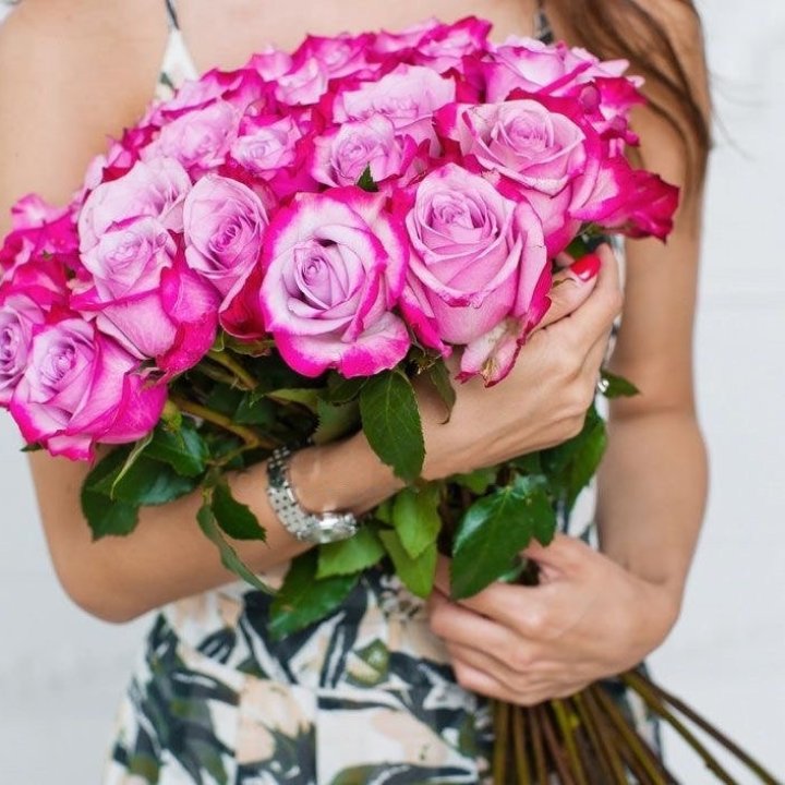 Deep Purple Tall Roses Bouquet in Amsterdam