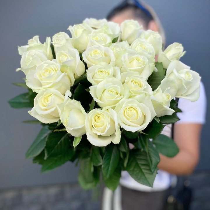 25 Dutch White Roses in Dubai