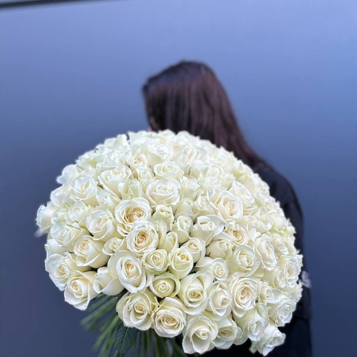 Bunch of 101 White Roses in Dubai