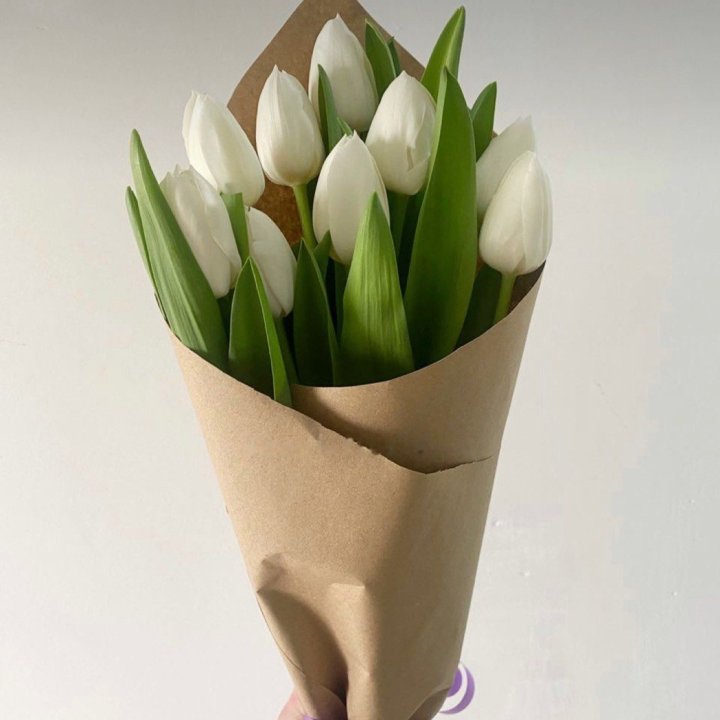 Bouquet of White Tulips in Nicosia