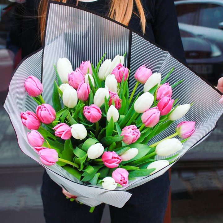 29 Mixed Tulips in Nicosia