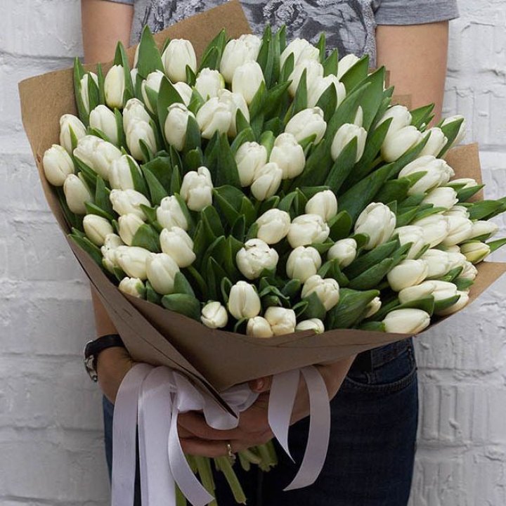 101 Snow Tulips in Astana