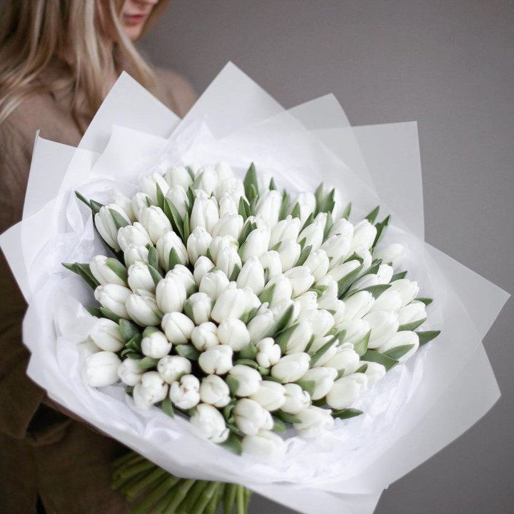 101 White Tulips in Nicosia